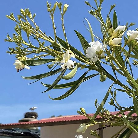 فارو Herdade Dos Salgados Do Fialho المظهر الخارجي الصورة