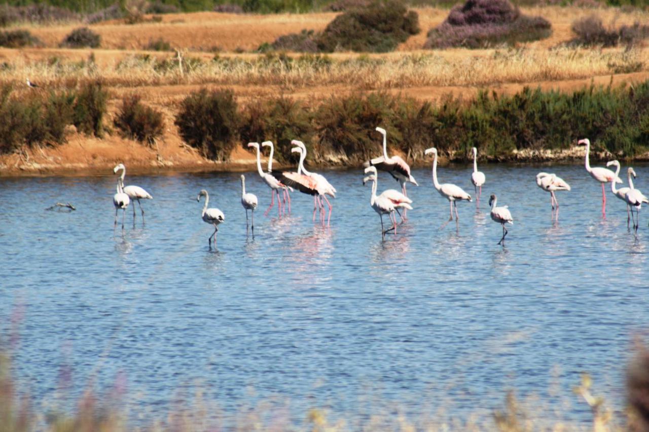 فارو Herdade Dos Salgados Do Fialho المظهر الخارجي الصورة